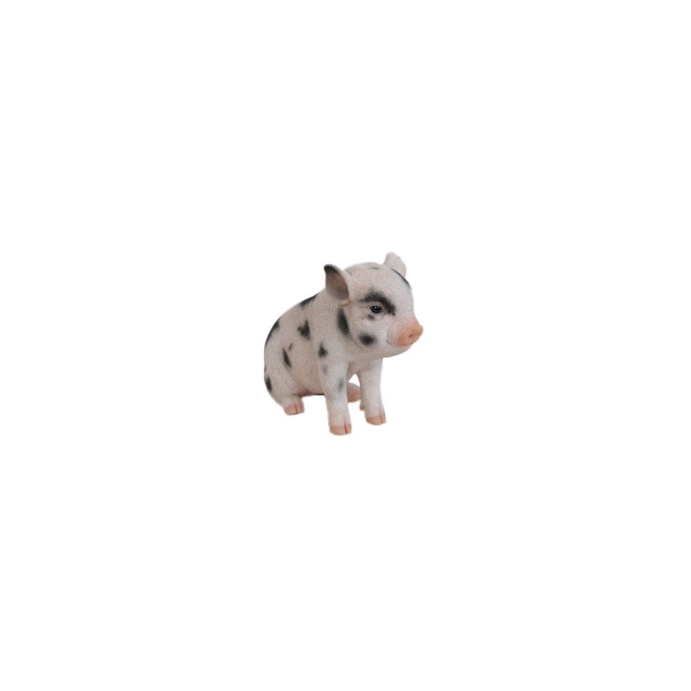 Sitting Baby Pig W/Black Spots