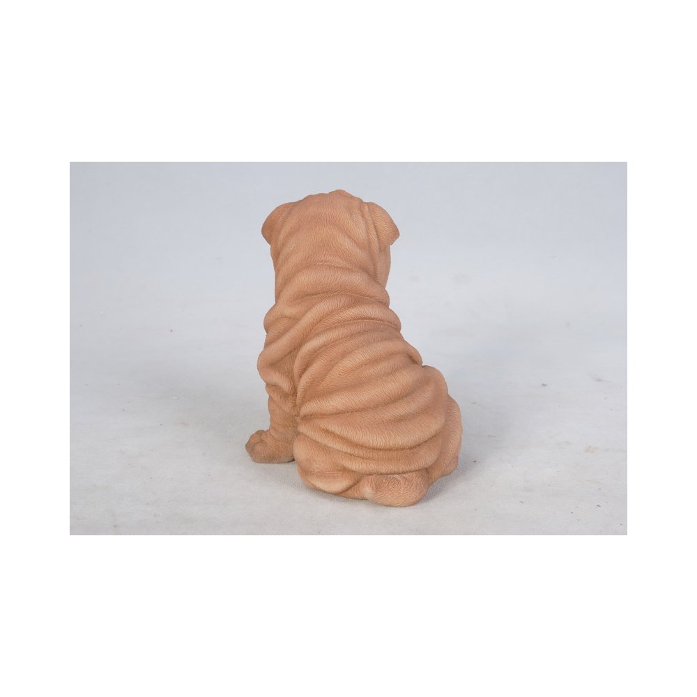 Shar Pei Puppy