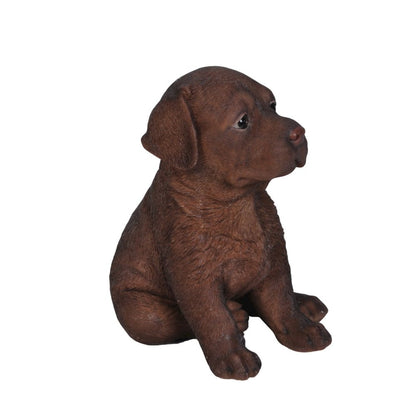 Chocolate Labrador Puppy