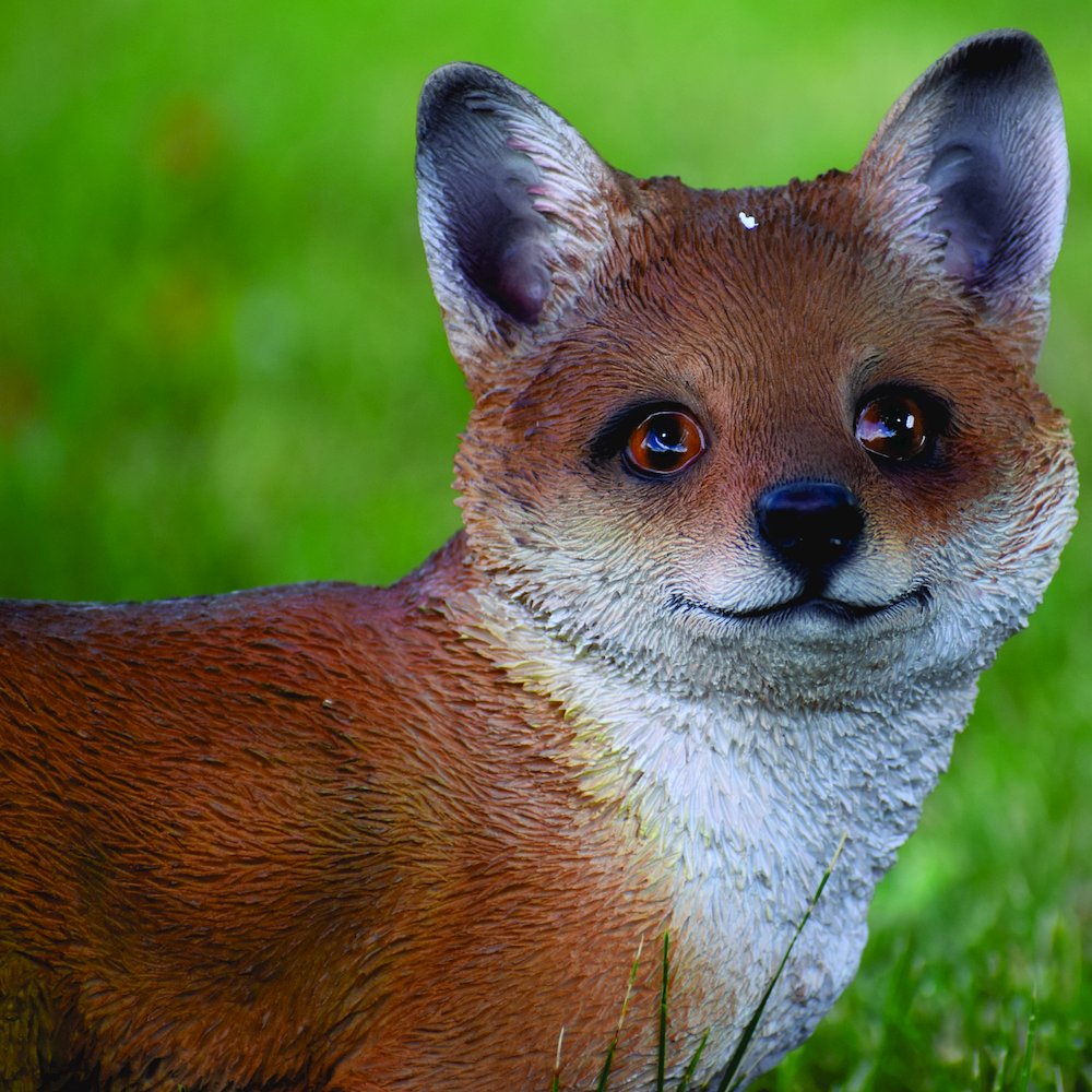 Fox Pup Standing