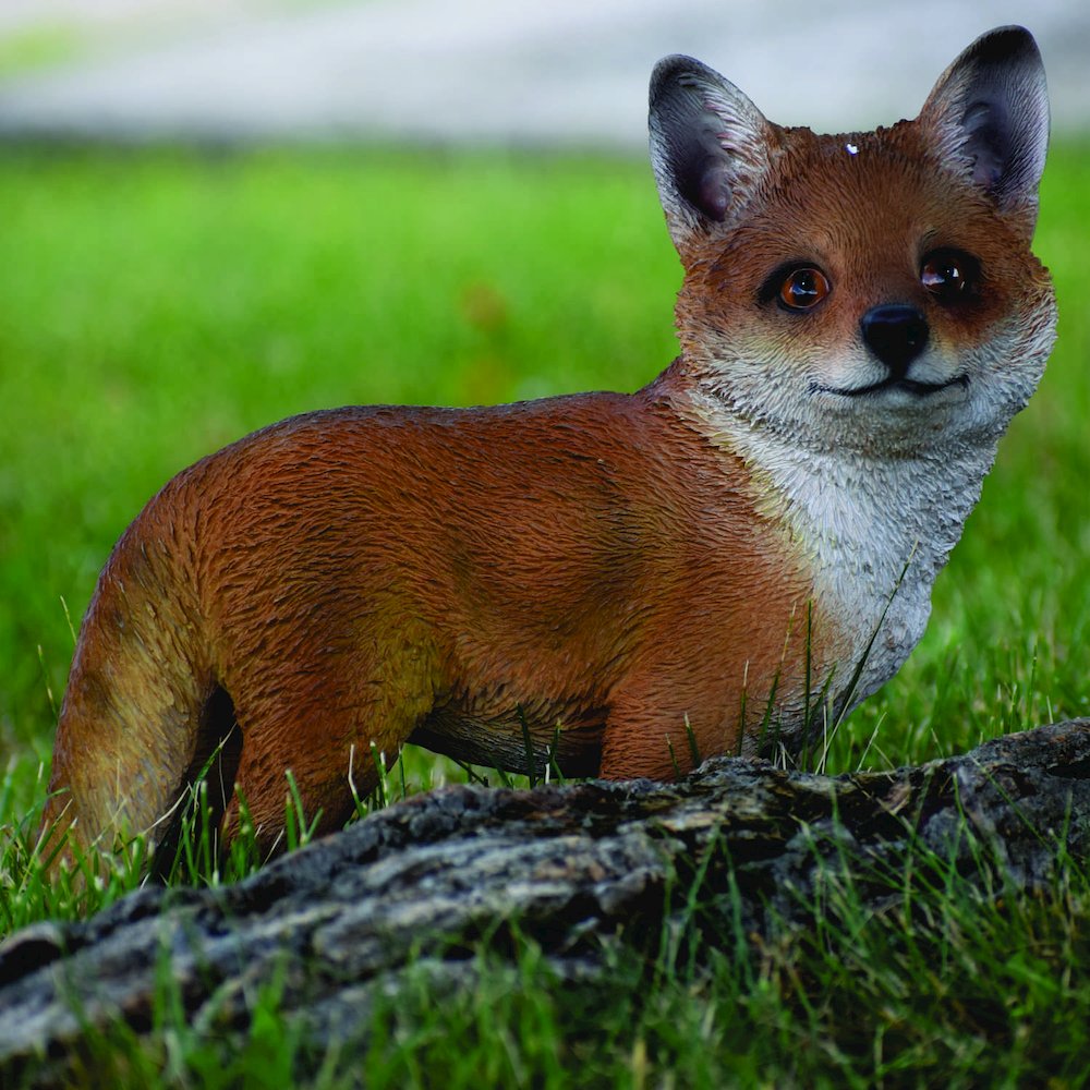 Fox Pup Standing