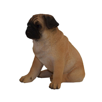 Sitting Pug