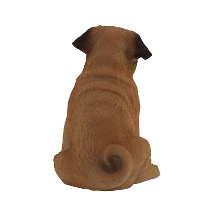 Sitting Pug