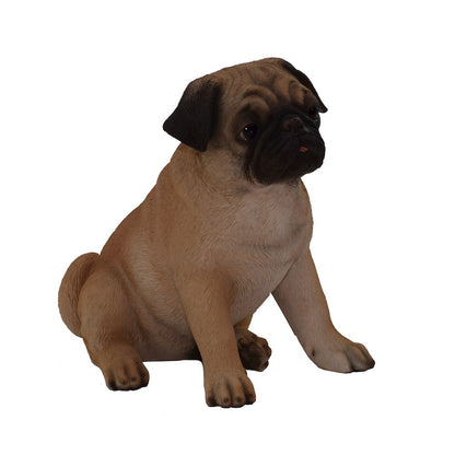 Sitting Pug