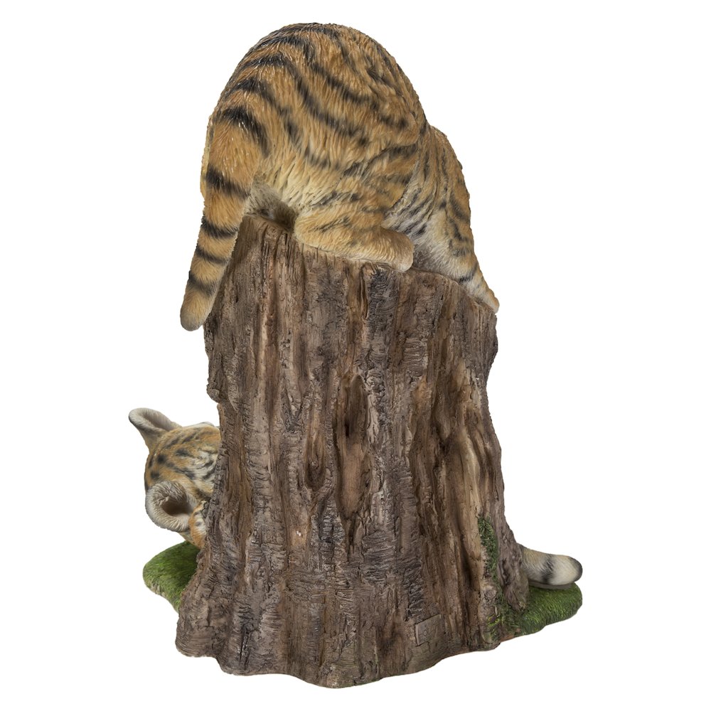 Playful Tiger Cubs