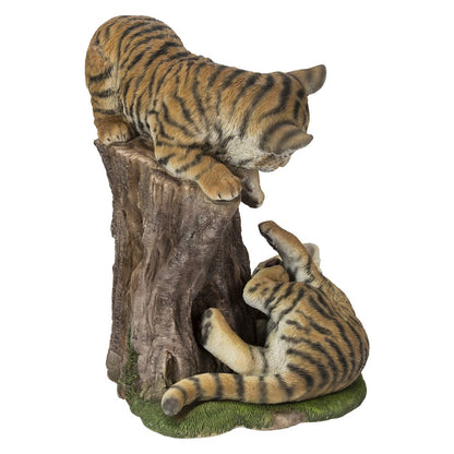 Playful Tiger Cubs