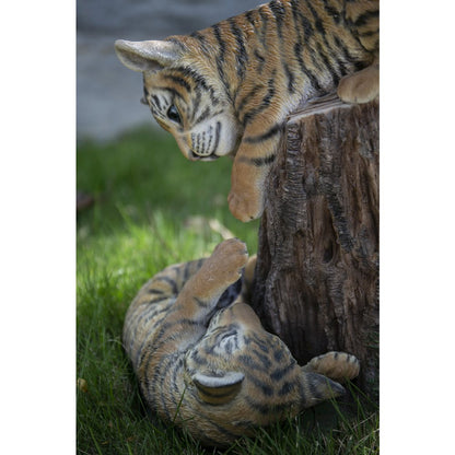 Playful Tiger Cubs