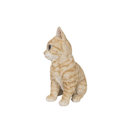 Head-Tilting Orange Tabby Kitten Sitting