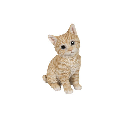 Head-Tilting Orange Tabby Kitten Sitting