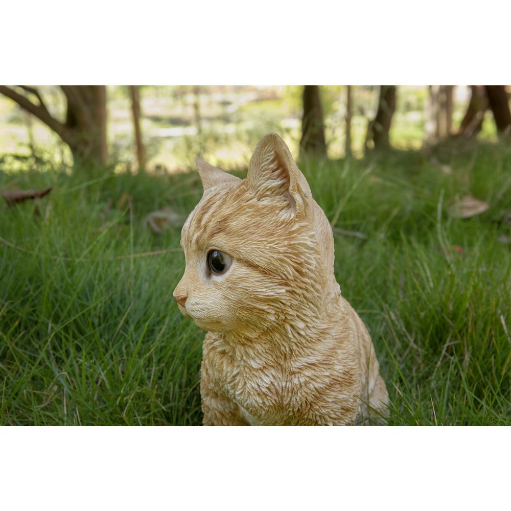 Head-Tilting Orange Tabby Kitten Sitting