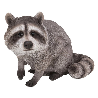 Raccoon Sitting Statue