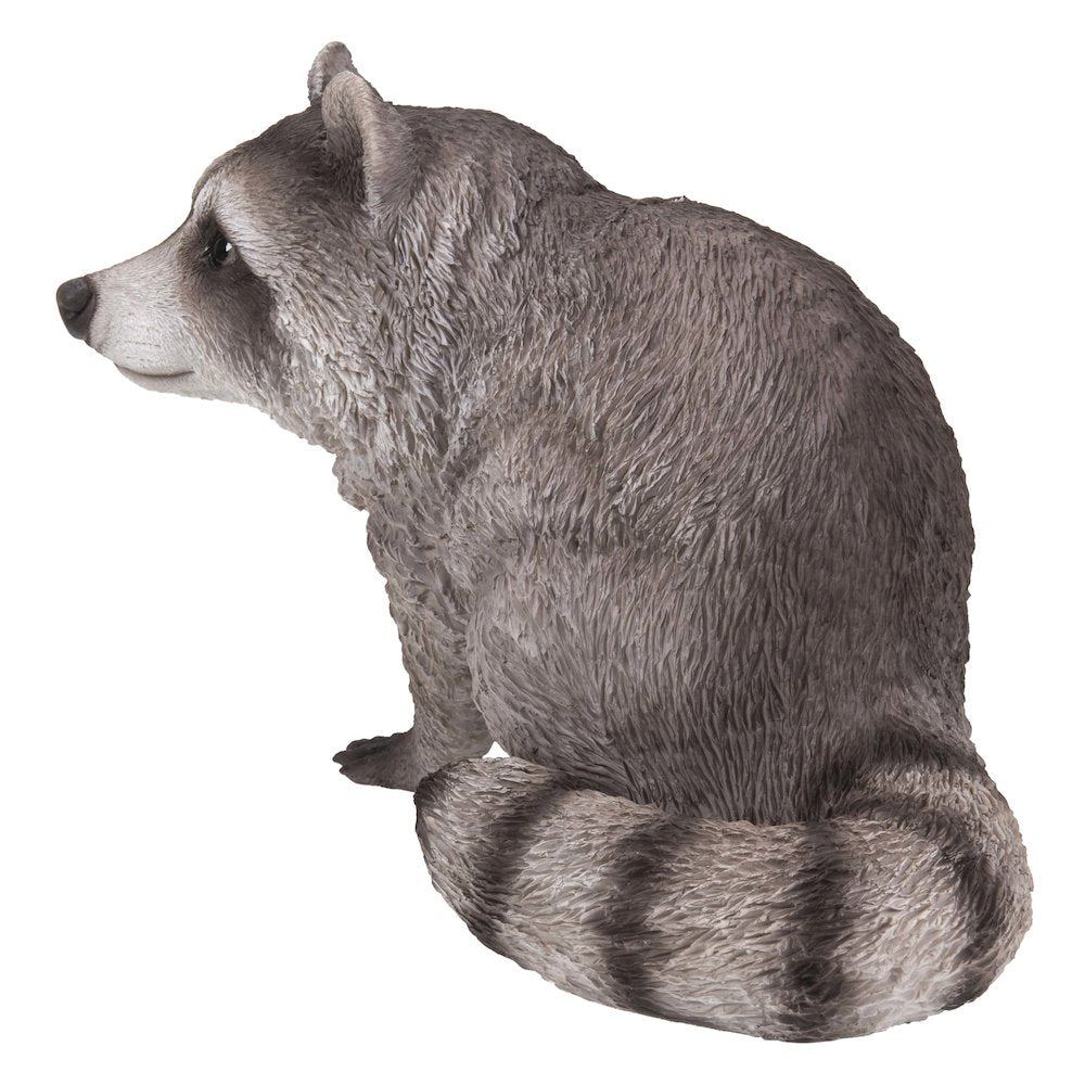 Raccoon Sitting Statue