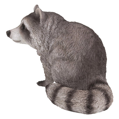 Raccoon Sitting Statue