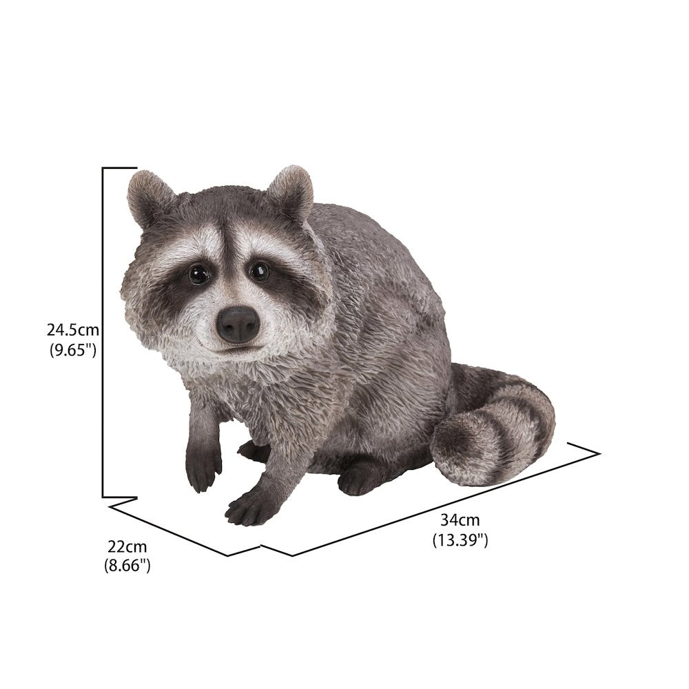 Raccoon Sitting Statue