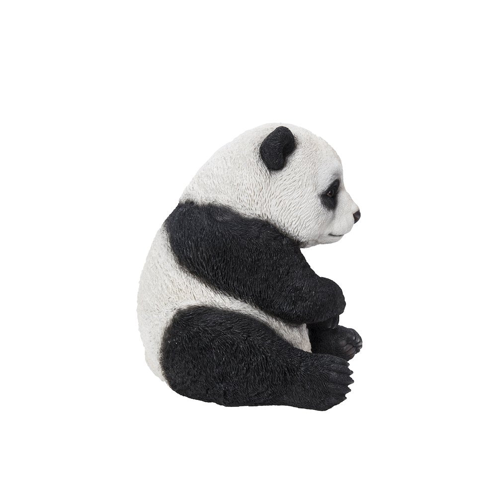 Small Panda Cub Sitting