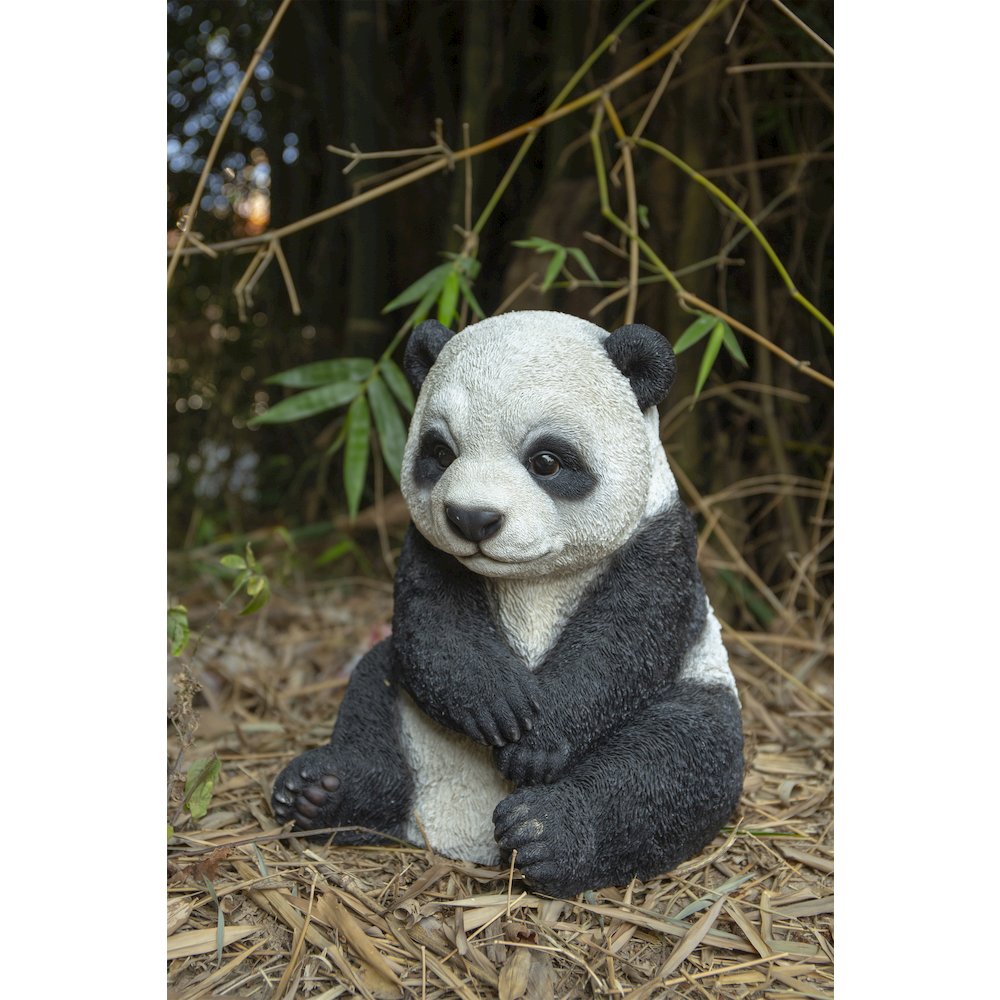 Small Panda Cub Sitting