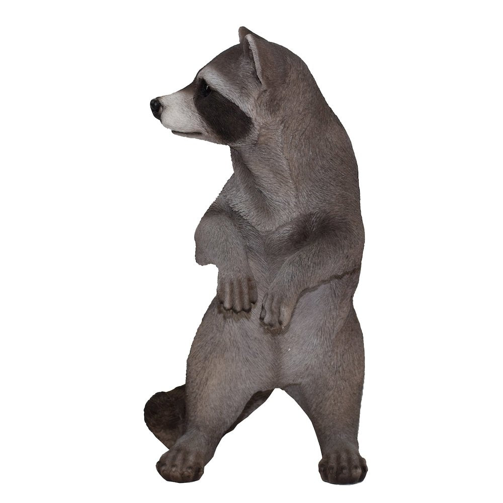 Standing Raccoon Statue