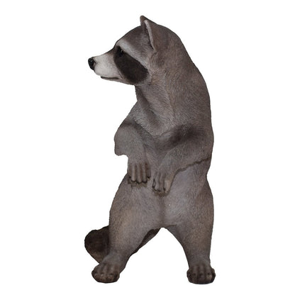 Standing Raccoon Statue
