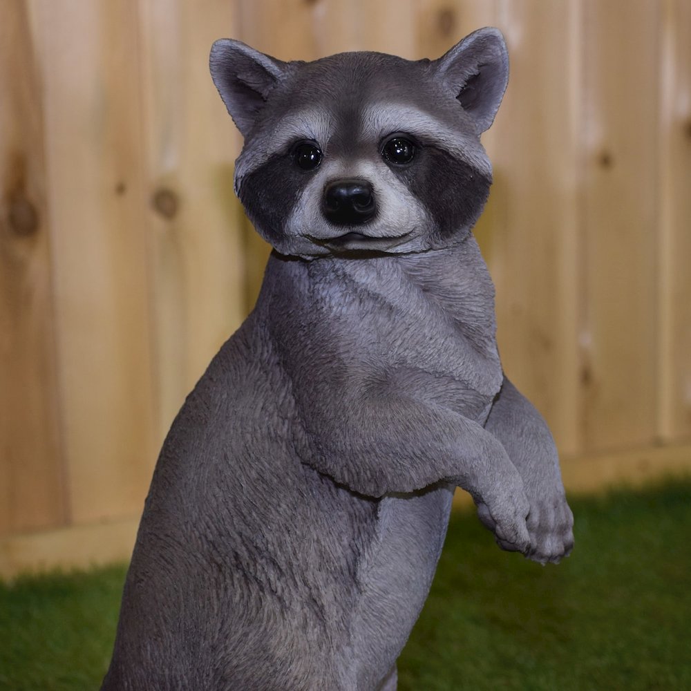 Standing Raccoon Statue