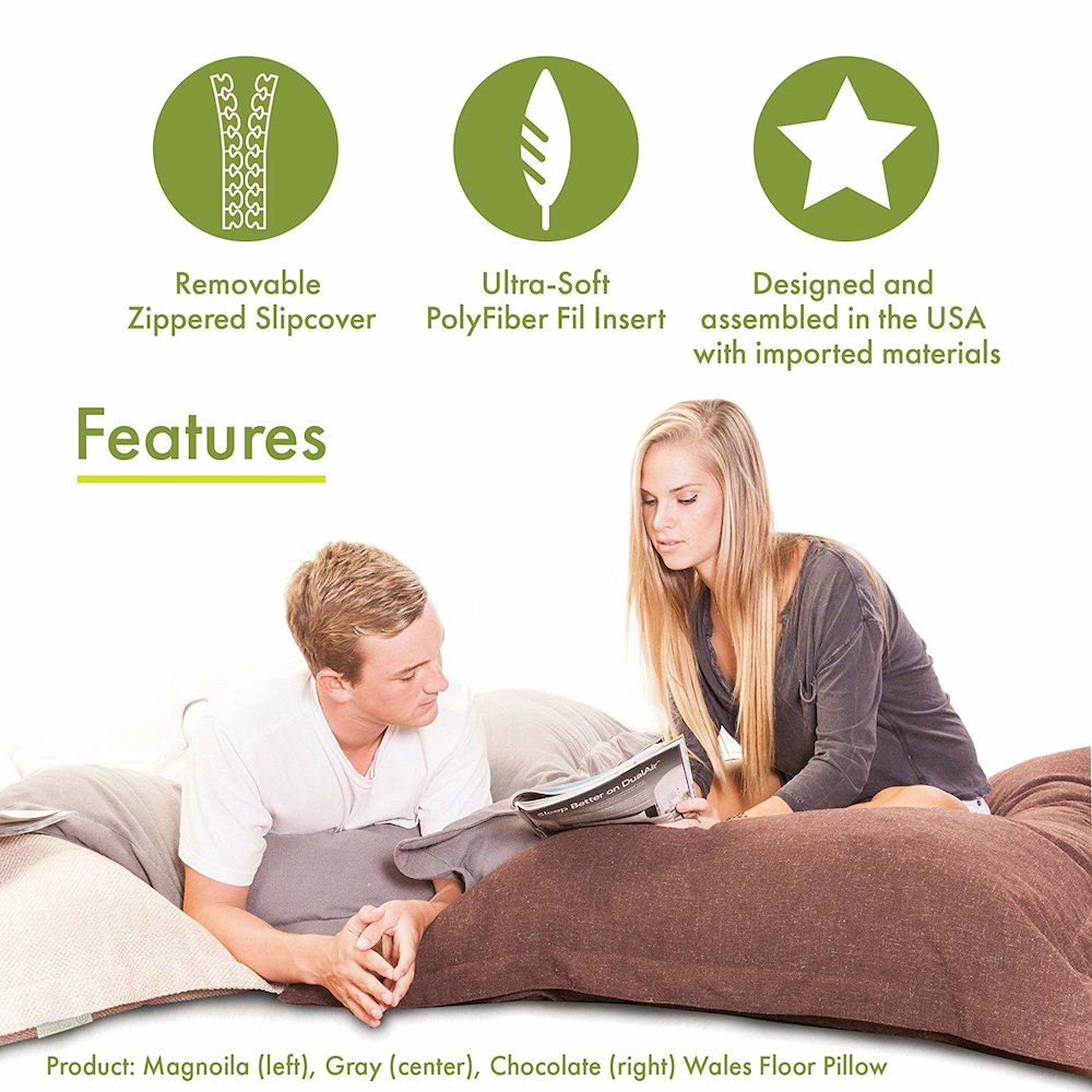 Majestic Home Goods Floor Pillow Charlie Salmon