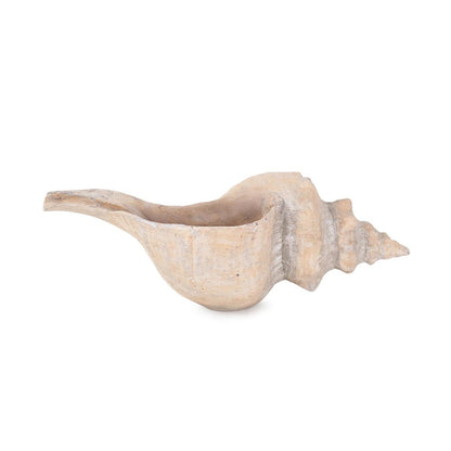 Horse Conch