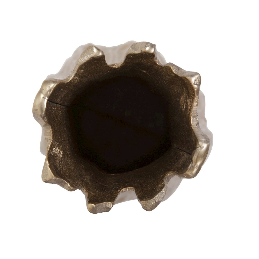 Sycamore Vase- Short