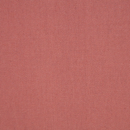 Empire Cotton Poly Filled Pillow in Pink/White, 20" x 20"