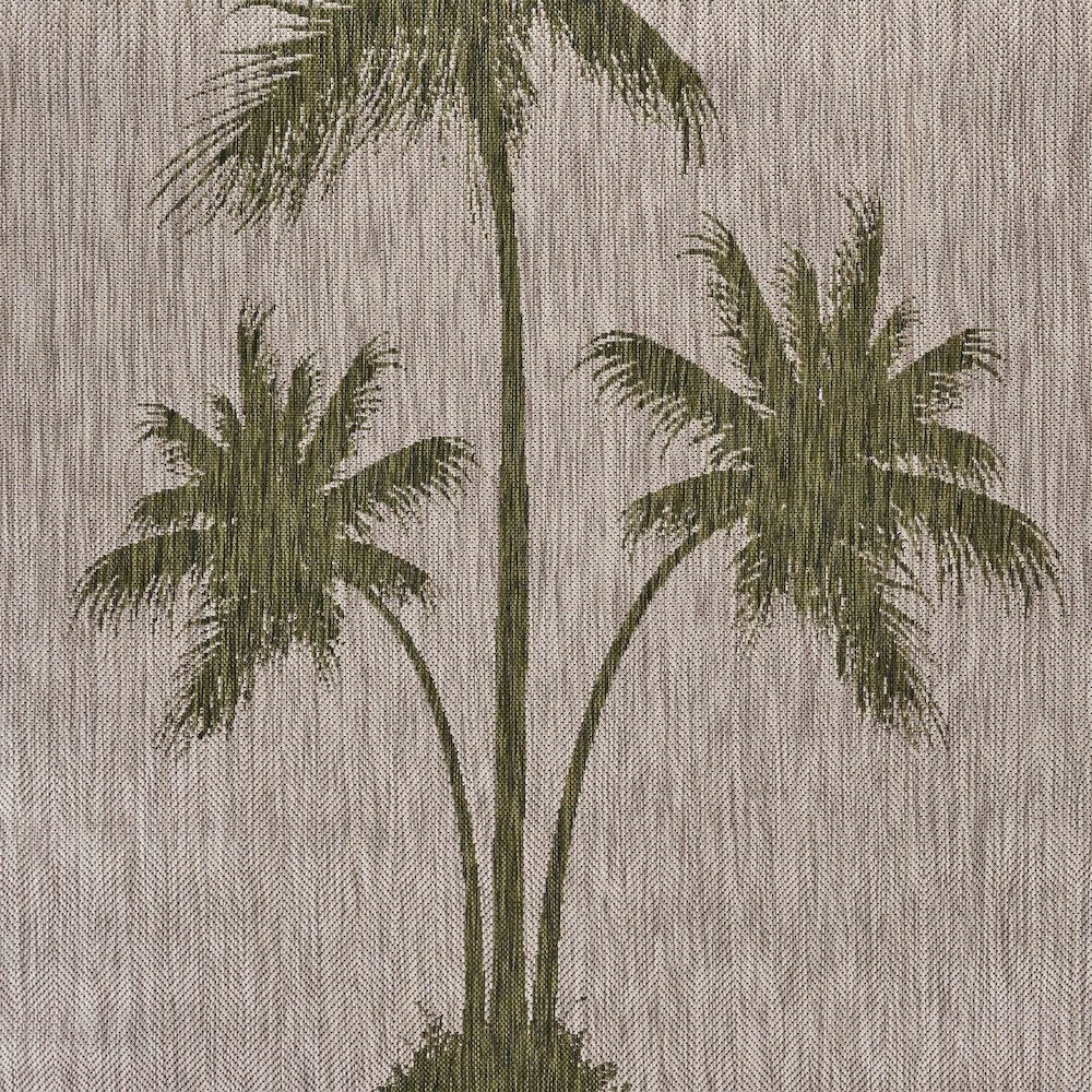 Catalina Durable Performance Area Rug Outdoor in Green/Beige, 5' x 7'