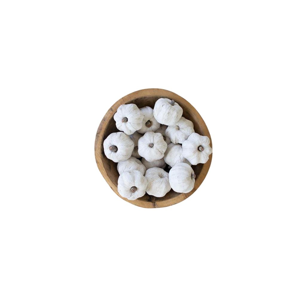 Bag Of Fifteen Dried Miniature Faux Pumpkins - White