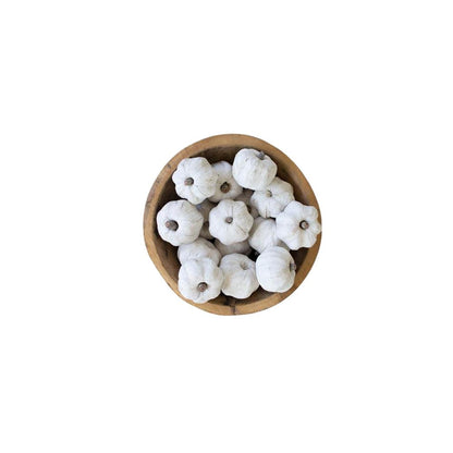 Bag Of Fifteen Dried Miniature Faux Pumpkins - White