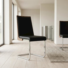 Modern Black and Walnut Dining Chairs with Cushioned Seating (Set of 2)