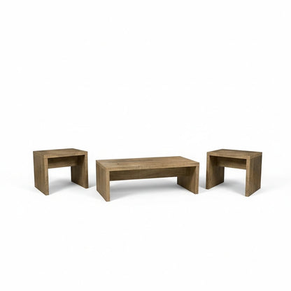 Lynette 3-piece Rectangular Coffee and End Table Set Mango